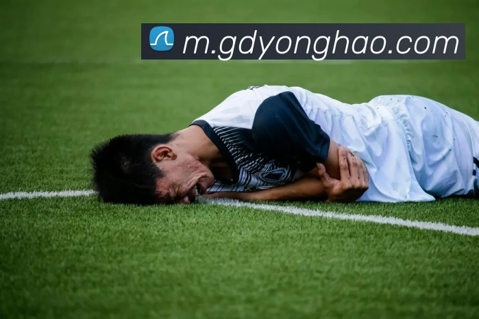 乐竞体育APP 封面图